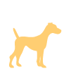 medium dog icon