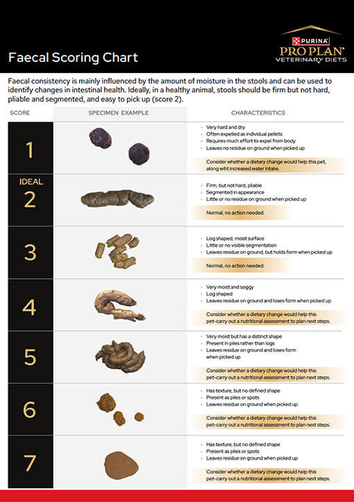 Faecal Score Chart