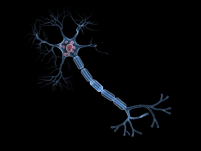 Feeding the epileptic brain with drugs and diet – myths and reality