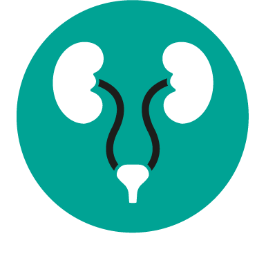 URINARY SYSTEM