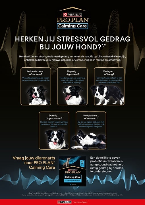 Calming Care A3 poster gedragingen