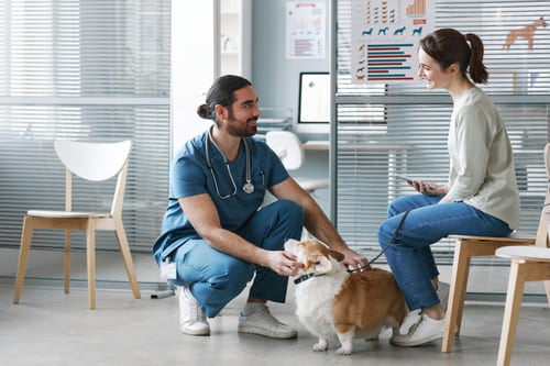 Dierenarts bespreekt de zorg voor een hond met een huisdiereigenaar