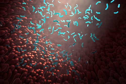 Illustratie van bacteriën in het darmmicrobioom