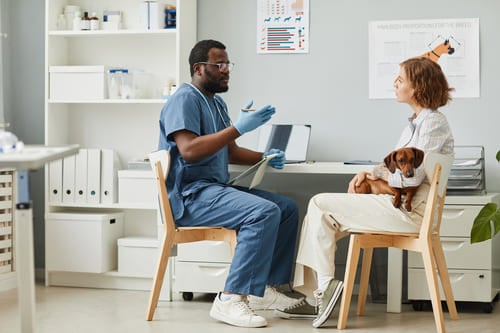 Veterinair consult waarbij een huisdiereigenaar met een hond advies krijgt in een dierenkliniek