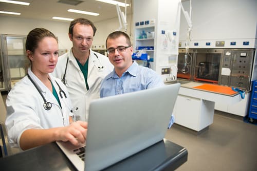 Veterinaire professionals vergaderen rond een tafel over diergezondheidszorg