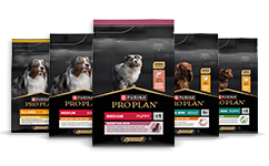 Canine Onderhoudsvoeding voor honden