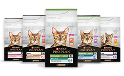 Feline Onderhoudsvoeding voor katten