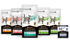 Feline Veterinaire diëten voor katten