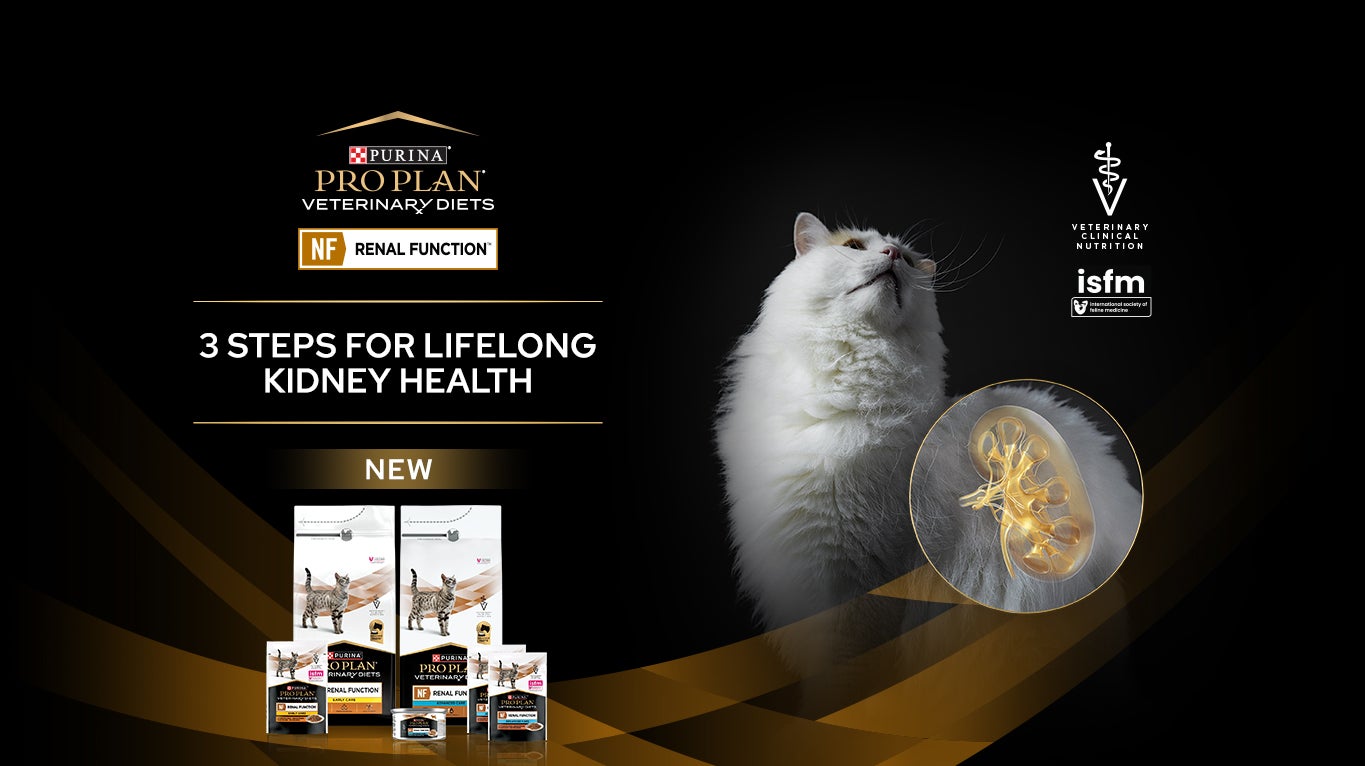 Purina Pro Plan Veterinary Diets NF Renal Function-producten voor katten met een afbeelding van een kat en niergezondheid