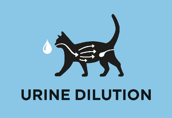 Helpt om urineverdunning te verhogen en de urinegezondheid te ondersteunen