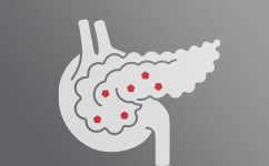Gezondheid van het endocriene systeem