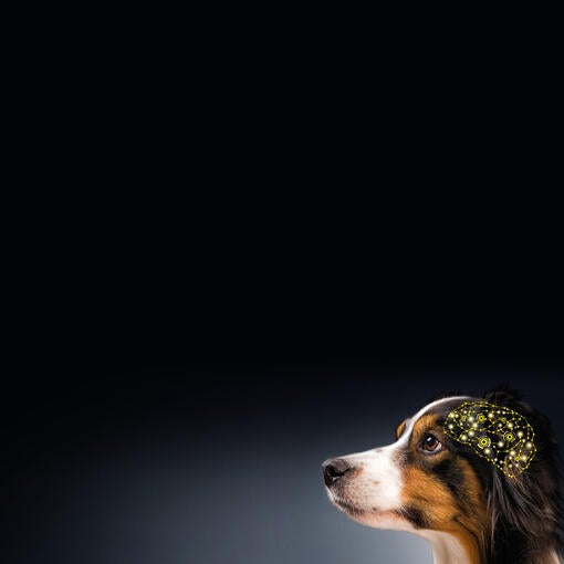 Cognitive assessment