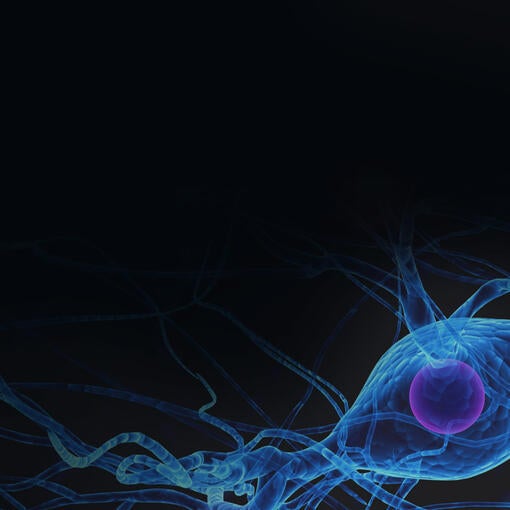 Wetenschapspublicatie