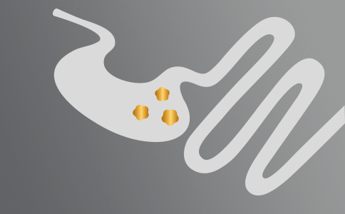 Gastro-intestinale gezondheid