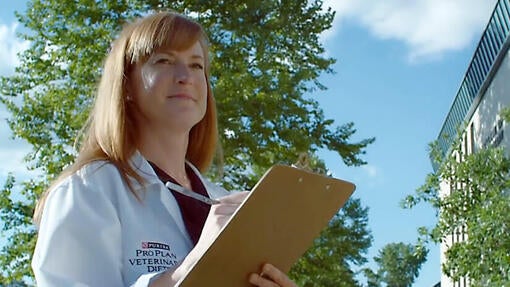 Managing Arthritis in Dogs with JM Joint Mobility Dog Food