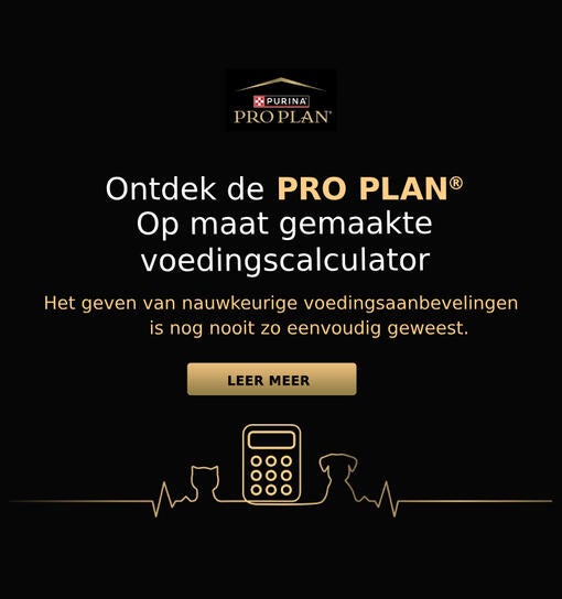 CANINE COGNITIVE ASSESSMENT SCALE