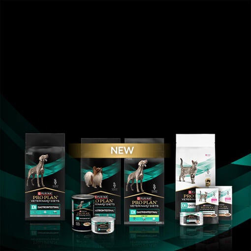 Gastrointestinal Range