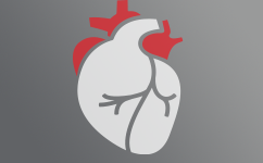 Gezondheid van het hart